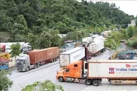 Hoạt động xuất nhập khẩu hàng hóa qua các cửa khẩu tỉnh Lạng Sơn ngày 31/1 và 1/2 diễn ra ổn định, thông suốt.