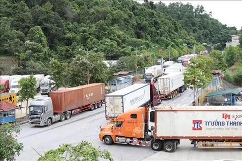 Hoạt động xuất nhập khẩu hàng hóa qua các cửa khẩu tỉnh Lạng Sơn ngày 31/1 và 1/2 diễn ra ổn định, thông suốt. 