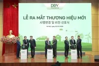 6 tháng năm 2025, doanh thu phí bảo hiểm gốc của DBV đạt 1.617 tỷ đồng, tăng trưởng 16,8%