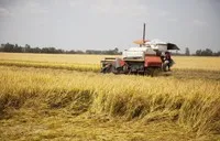 ADB cam kết hỗ trợ sáng kiến ​​an ninh lương thực đạt 40 tỷ USD đến năm 2030