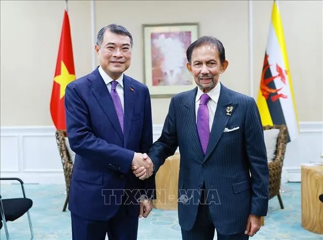 Thủ tướng Chính phủ Lê Minh Hưng gặp Quốc vương Brunei Haji Hassanal Bolkiah.
