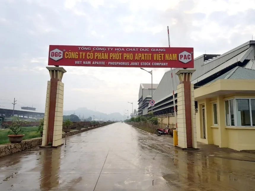 Apatit Việt Nam (PAT) lên kế hoạch thay 4/5 thành viên HĐQT