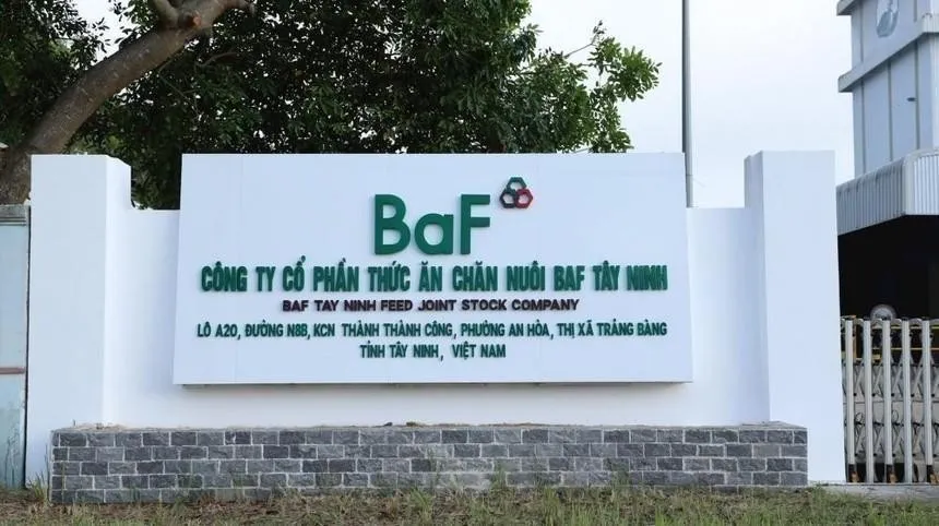 BaF Việt Nam (BAF): Lợi nhuận quý III/2025 giảm tới 62,6%, đạt 22,46 tỷ đồng