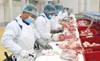 BaF Việt Nam (BAF) sắp phát hành 1.000 tỷ đồng trái phiếu “3 không”