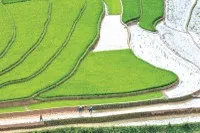 Bài toán "tồn tại hay không tồn tại" với doanh nghiệp Việt