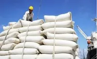 Bộ trưởng Công thương yêu cầu thực hiện nguyên tắc kép trong điều hành xuất khẩu gạo.