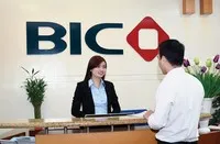 Những nhà bảo hiểm tiên phong như BIC sẽ có nhiều lợi thế tại thị trường hải ngoại. Ảnh: Dũng Minh