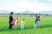 Bảo hiểm nông nghiệp tiềm năng, nhưng không dễ khai thác. Ảnh: Dũng Minh