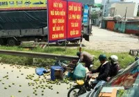 Tỷ lệ mua bảo hiểm xe máy đã tăng lên trong 3 tháng qua