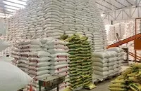 Giá gạo xuất khẩu bình quân 6 tháng/2025 ước đạt 517,5 USD/tấn, giảm 18,4% so với cùng kỳ năm 2024.