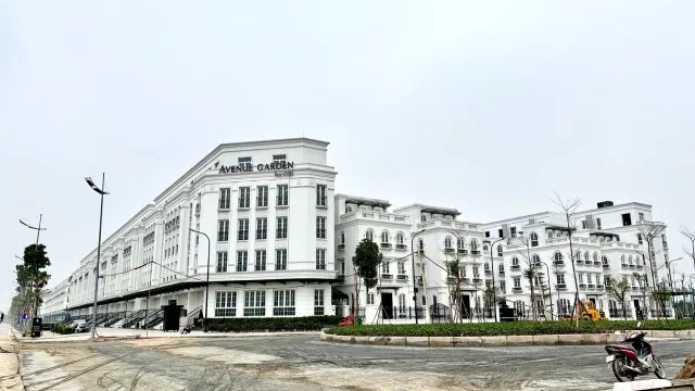 Hiện chủ đầu tư đang đưa ra giá thuê cho những căn liền kề xây thô là 30 - 35 triệu đồng/tháng. Với những căn đã hoàn thiện nội thất cơ bản, được lắp đặt thang máy, điều hòa…, giá thuê khoảng 80 - 120 triệu đồng/tháng. Đây vẫn chưa phải là mức giá cuối, khách hàng có thể tiếp tục đàm phán để hạ giá.