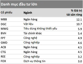 Danh mục đầu tư lớn của VESAF tính tới cuối tháng 11/2025