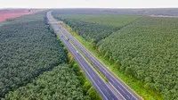 Một đoạn cao tốc TP.HCM - Long Thành - Dầu Giây qua Đồng Nai hiện do VEC vận hành khai thác.