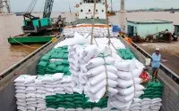 Nhiều quy định mới về kinh doanh xuất khẩu gạo có hiệu lực từ đầu tháng 3/2025. Ảnh minh hoạ