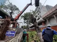 Bộ Tài chính đề nghị các doanh nghiệp bảo hiểm báo cáo bồi thường do bão Noru