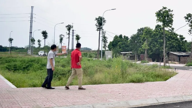 Phân khúc đất nền được nhiều nhà đầu tư quan tâm trong giai đoạn quý I/2025. Ảnh: Thanh Vũ
