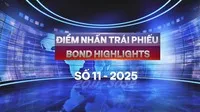 [Bond Highlights] Số 11/2025: Trái phiếu bất động sản tăng tốc, nâng kỳ vọng cho năm 2026