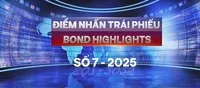 [Bond Highlights] Số 7/2025: Ngân hàng sôi động trên thị trường trái phiếu doanh nghiệp