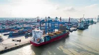 Cảng Đình Vũ (DVP): Kết quả kinh doanh quý I/2026 đi lùi, chia cổ tức 50% bằng tiền mặt