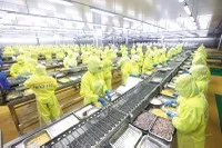 Quy chuẩn của Việt Nam về chất ô nhiễm trong thực phẩm bảo vệ sức khoẻ có yêu cầu cao hơn cả quy chuẩn của những nước phát triển. Ảnh: Đức Thanh