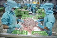 Xuất khẩu tôm, cá tra, gỗ đang phụ thuộc vào chính sách thuế đối ứng của Mỹ