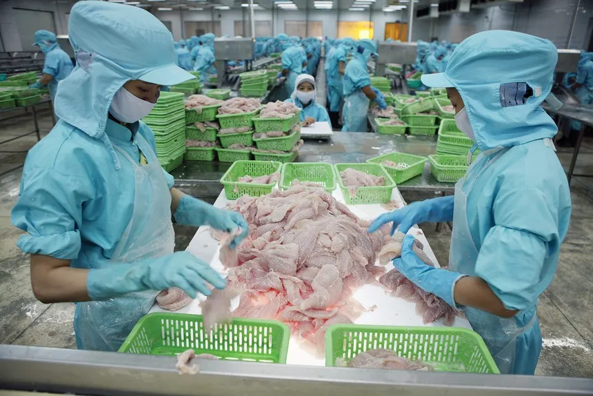 Xuất khẩu tôm, cá tra, gỗ đang phụ thuộc vào chính sách thuế đối ứng của Mỹ 