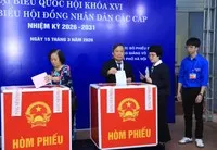 Chủ tịch UBND TP. Hà Nội Vũ Đại Thắng bỏ phiếu bầu cử.