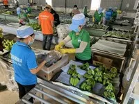 Chủ tịch Masan và Hoàng Anh Gia Lai gửi tâm thư trước tin thuế quan