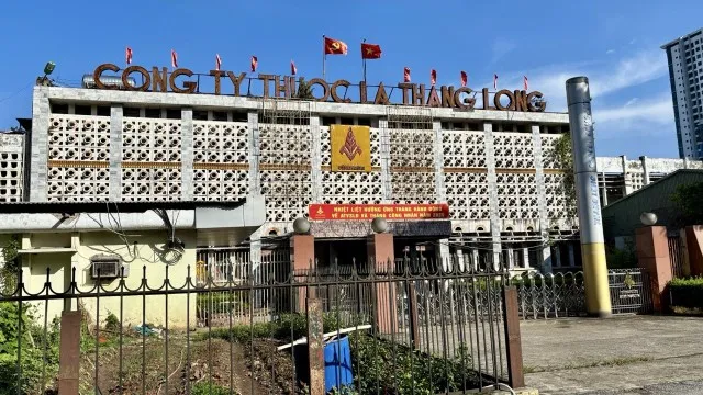 Công ty Thuốc lá Thăng Long từng nằm tại địa chỉ số 235 Nguyễn Trãi. Hiện đơn vị này đã chuyển nhà máy tới khu công nghiệp Thạch Thất - Quốc Oai.
