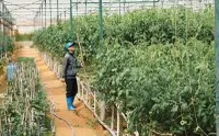 Tín dụng vào các lĩnh vực ưu tiên vẫn có điều kiện để tăng trưởng cao