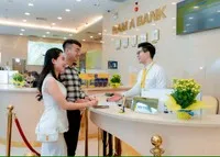 Cổ phiếu cần quan tâm ngày 11/2