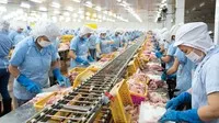 Cổ phiếu cần quan tâm ngày 28/1