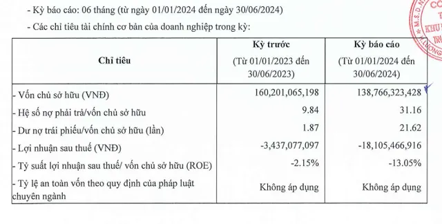 Thông tin tài chính nửa đầu năm 2024 của Công ty Khu đô thị mới Trung Minh