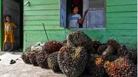 Cú sốc năng lượng khiến nhu cầu nhiên liệu sinh học tăng vọt