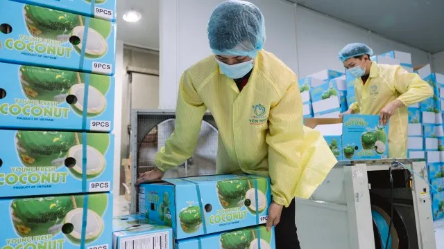 Doanh nghiệp tăng chế biến sâu để giảm rủi ro.