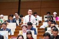 Đại biểu Trịnh Xuân An tham gia thảo luận.