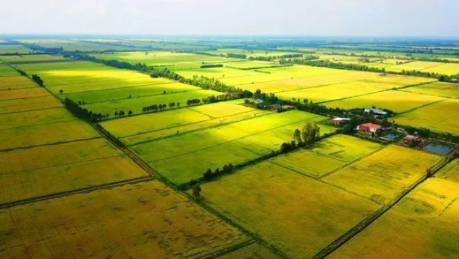 Bộ Tài chính trả lời kiến nghị của cử tri đề nghị Chính phủ nghiên cứu ban hành chính sách theo hướng giảm tiền sử dụng đất đối với hộ gia đình, cá nhân chuyển mục đích sử dụng đất từ đất vườn trồng cây lâu năm do cha ông để lại sang đất ở.
