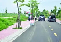 Đất đấu giá được quan tâm trở lại. Ảnh: Thanh Vũ.