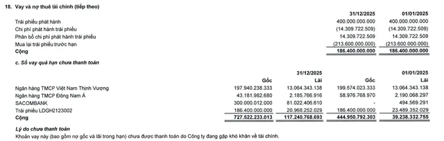 Đầu tư LDG ghi nhận khoản vay quá hạn chưa thanh toán tại thời điểm 31/12/2025.