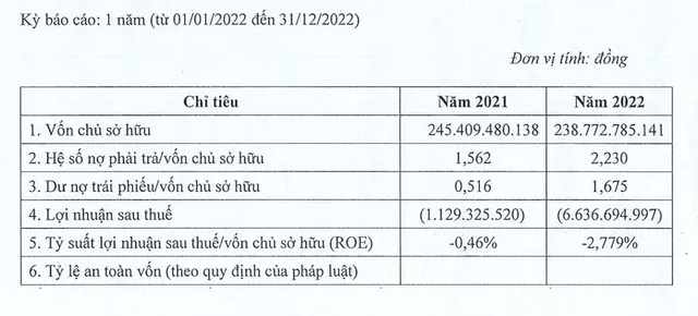 Thông tin tài chính của Đầu tư Phúc Hậu nửa đầu năm 2024
