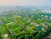 Đề xuất gia hạn thời hạn nộp thuế và tiền thuê đất năm 2025