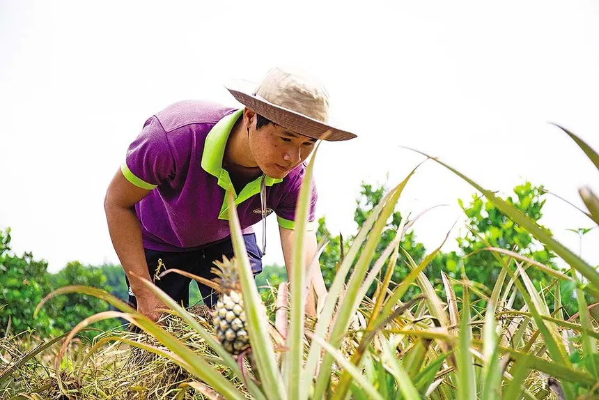 Trái cây Việt cần chiến lược bài bản và liên kết bền chặt hơn để gia nhập nhóm hàng tỷ USD. 