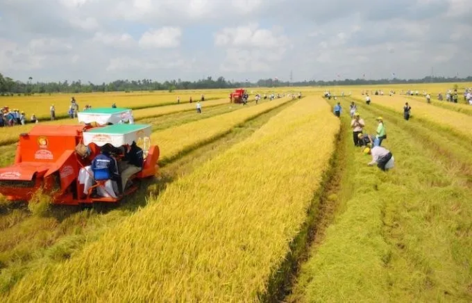 Bộ Tài chính đề xuất nâng mức hỗ trợ phí bảo hiểm nông nghiệp lên tối đa 95% với hộ nghèo.