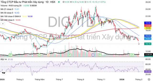 Cổ phiếu DIG liên tục giảm mạnh từ tháng 10/2025 tới nay.