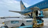 Dịch vụ hàng hóa Nội Bài (NCT) chốt quyền chia cổ tức 80% bằng tiền mặt