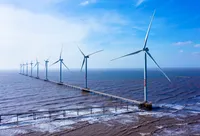 Điện gió Bắc Phương giảm 24% lãi 6 tháng 2025, dư nợ trái phiếu còn 534 tỷ đồng