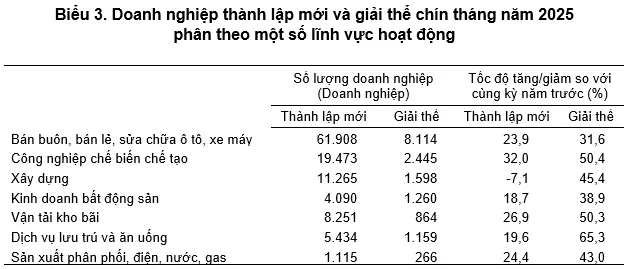 Nguồn: Cục Thống kê (Bộ Tài chính)