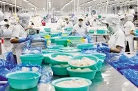 Doanh nghiệp đang chi phí bao nhiêu để tuân thủ thủ tục hành chính