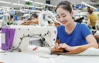 Thời điểm này, TNG đã nhận được đơn hàng cho quý II/2025