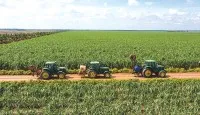 Sản lượng mía thu hoạch niên vụ 2023 - 2024 của ngành mía đường Việt Nam đạt hơn 11,2 triệu tấn, tăng 17,9%